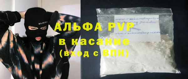 индика Волоколамск