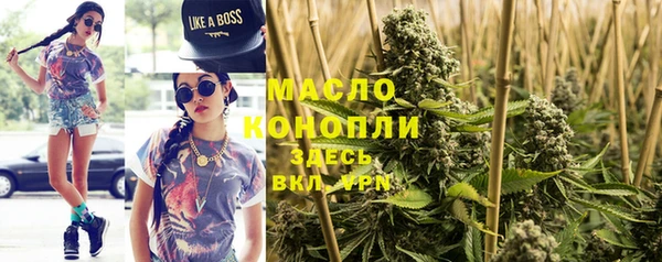 индика Волоколамск