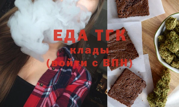 индика Волоколамск