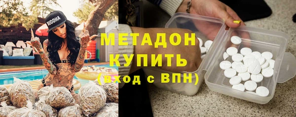 индика Верхний Тагил
