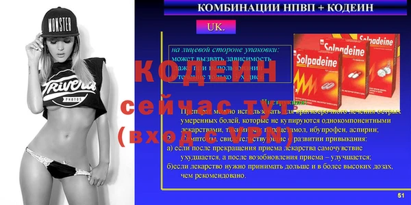 индика Волоколамск