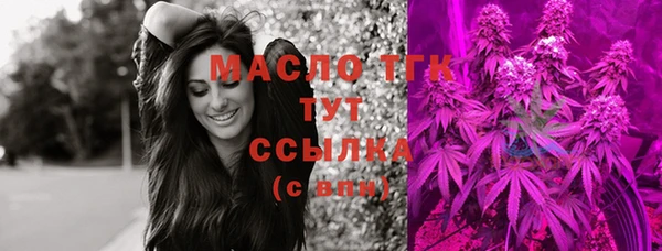 индика Волоколамск