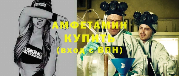 индика Верхний Тагил