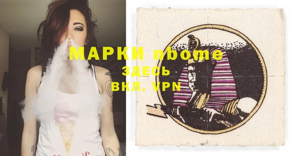 индика Верхний Тагил
