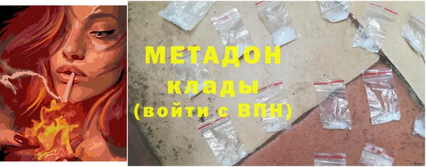 индика Верхний Тагил