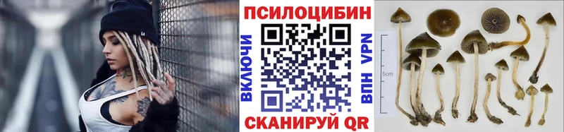 Галлюциногенные грибы прущие грибы  MEGA tor  Лысково 
